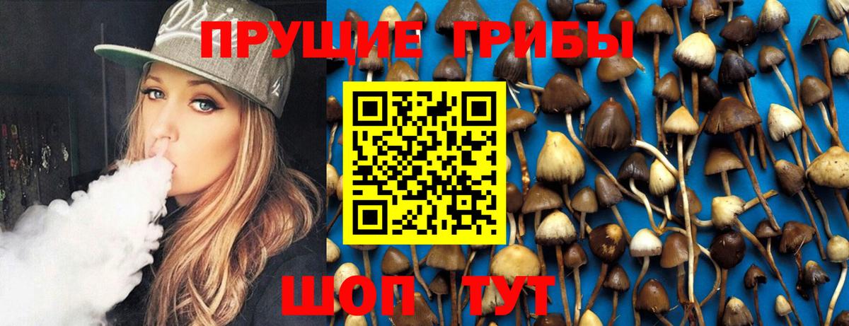 Галлюциногенные грибы MAGIC MUSHROOMS  купить наркотики цена  Армавир  Псилоцибиновые грибы ЛСД  Вход с VPN 