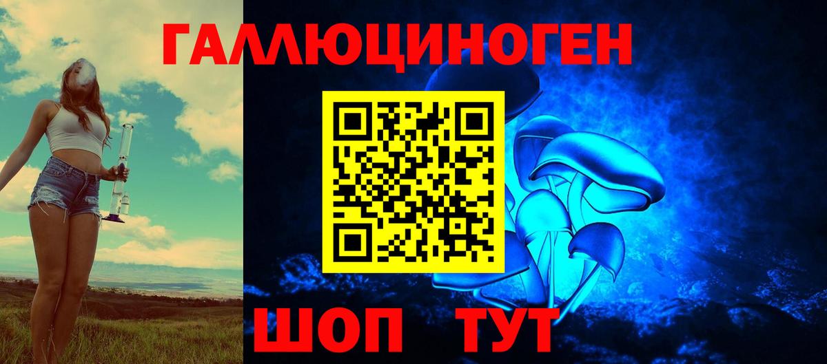 Псилоцибиновые грибы Cubensis Армавир